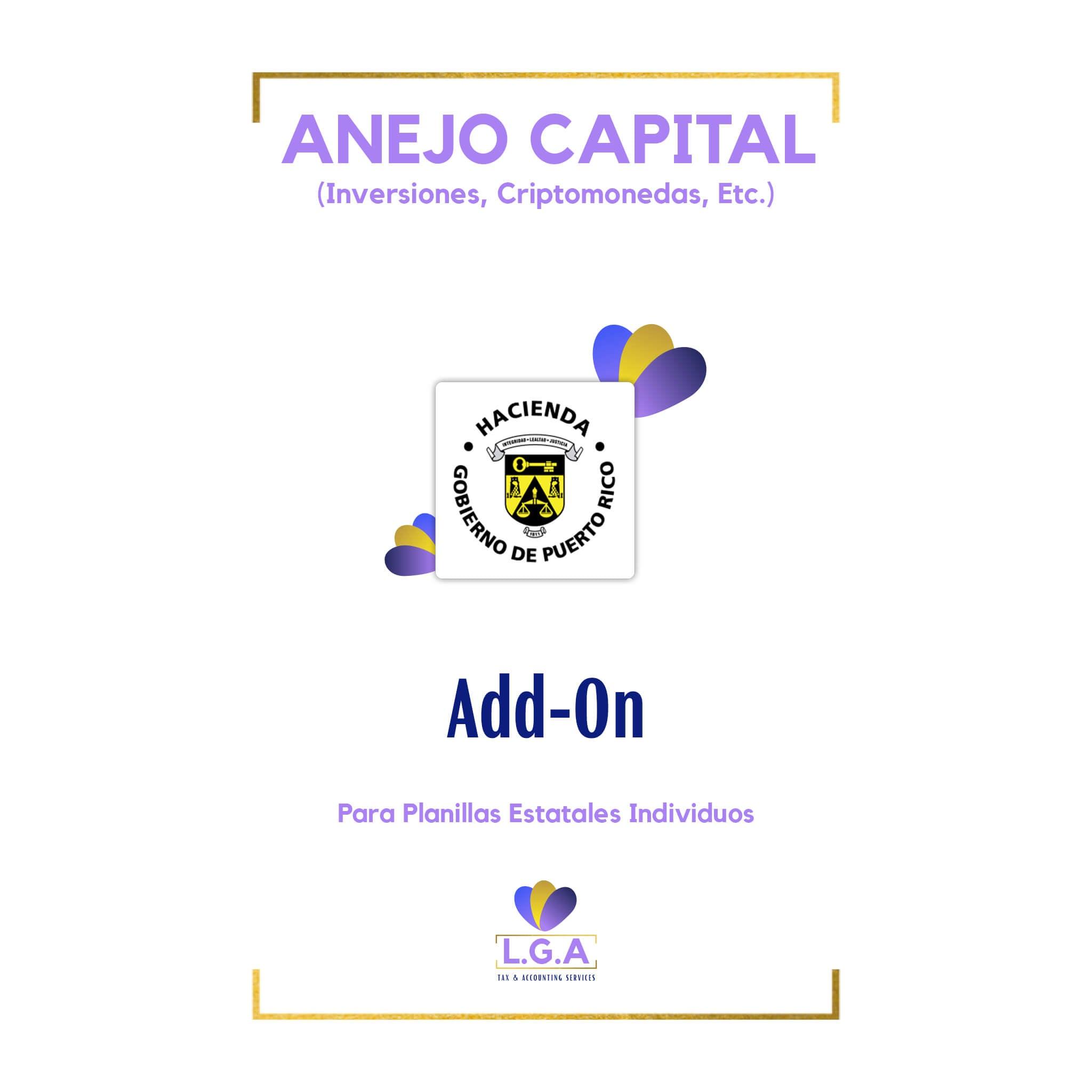 Anejo Capital Add-On - L.G.A Tax & Accounting Services